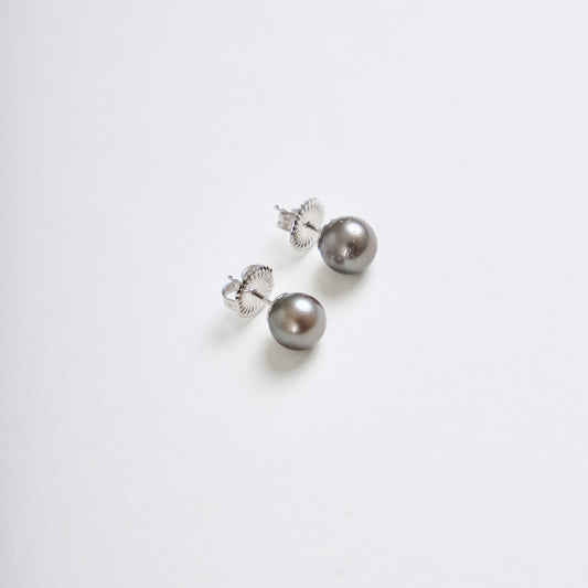 Tahitian  Pearl Earrings